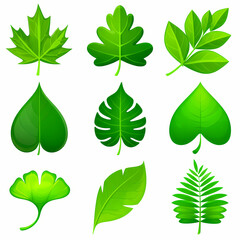 A vibrant collection of various green leaf illustrations, showcasing diverse shapes and botanical details.