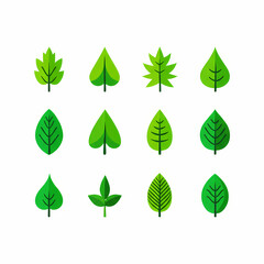 A collection of twelve stylized green leaves, each with unique shapes and details, arranged on a white background.