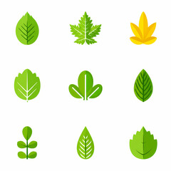 A collection of various stylized, flat-design leaves in different shapes and colors.