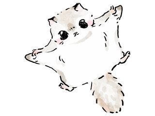 エゾモモンガ　飛ぶ　かわいい絵本風イラスト