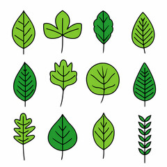 A collection of stylized green leaves, showcasing various shapes and detailed vein patterns.