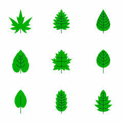 A collection of nine stylized green leaf icons, each with a unique shape and vein pattern, arranged in a grid on a white background.
