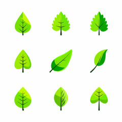 A collection of nine stylized green leaf illustrations, each with a unique shape and design, arranged in a grid pattern.