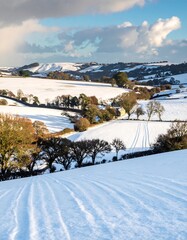 Snow-covered valley with trees and rolling hills