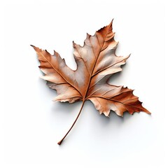 an AI Image Generator, Elegant Copper Maple Leaf Sculpture With Cream Highlights