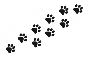 Animal paw prints forming a moving track, domestic pet footprints, isolated vector with transparent background