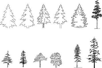 A set of black and white line art illustrations of various coniferous and deciduous trees, in both outline and detailed styles.

