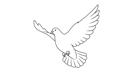 White dove in flight with wings spread wide against a stark black background symbolizing peace and freedom
