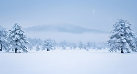 Snow covered tree branches in a winter forest 