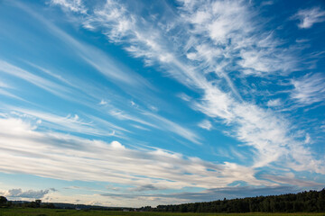 Expansive blue sky filled with dramatic, wispy white cirrus clouds, gracefully stretching across the frame and creating a serene atmospheric display