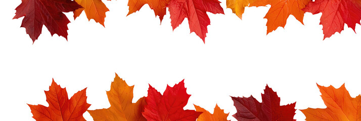 Autumn leaves frame for seasonal design projects and decorations