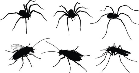 Insect and spider black silhouette vector set, mosquito, cockroach, housefly, spider icons, pest control illustration, isolated bug collection.