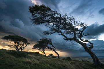 Trees bent by wind silhouetted against a dramatic stormy sky
