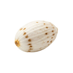 Lotus seed isolated on transparent background