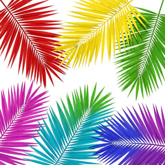 Obraz premium Colorful palm leaves isolated on transparent background