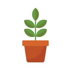 House decorative plant flat vector artwork. Potted plant for office room interior vector design