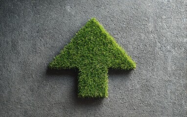 Green arrow of grass on dark stone (2)