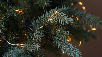 Fir branches with glowing garland close up - Christmas background - Christmas tree branches - Christmas Fir branches with lights