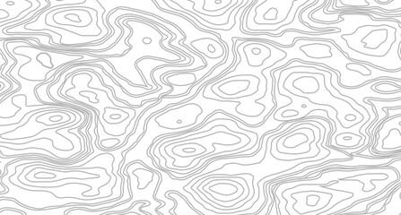 Featuring Geometric Grid Lines and Dynamic Strips on a Clean White Background, Intricate Abstract Topography Patterns: A Modern Sea-Inspired Map Design 