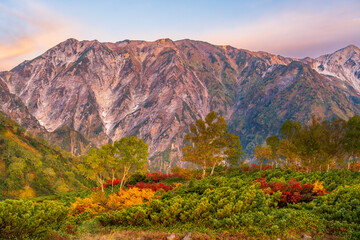 紅葉の八方山早朝ハイキングと北アルプス朝焼け