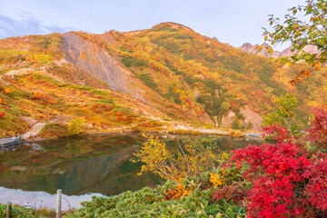 夜明けの八方池に映る紅葉の白馬三山