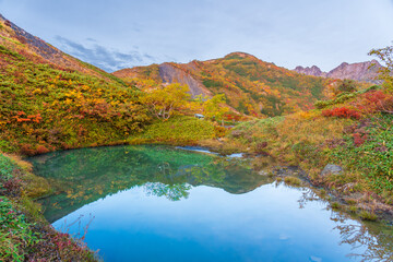 夜明けの八方池に映る紅葉の白馬三山