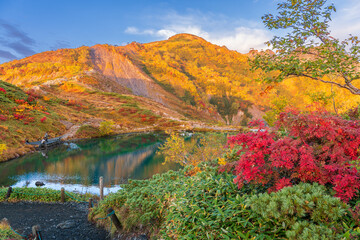 夜明けの八方池に映る紅葉の白馬三山