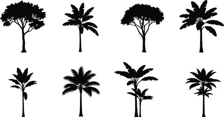 Tropical palm and banana tree silhouette collection, exotic jungle foliage vector set, black nature illustration, isolated tropical plant design