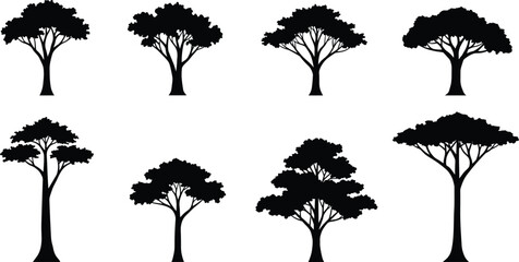 Set of African acacia tree silhouettes, tropical savanna black tree vector collection, isolated nature illustration for forest and landscape design