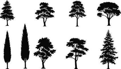 Collection of diverse tree silhouettes, detailed natural forest vector illustration, black landscape shapes with pine, cypress, and oak trees