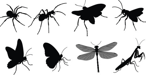 Set of insect and spider silhouettes isolated on white background, vector bugs, butterfly, dragonfly, praying mantis, realistic black shapes