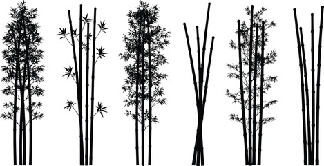 Bamboo plant silhouettes set on white background, vector illustration of tropical bamboo stems and leaves, Asian nature design elements