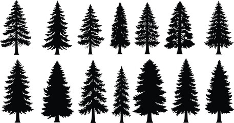 Collection of pine tree silhouettes isolated on white background, evergreen conifer forest trees, nature vector illustration for design and decoration