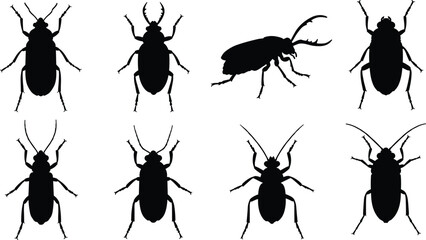 Set of beetle insect silhouettes, black bug vector collection for science illustration, nature design, pest control, and entomology study