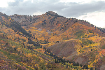 Obraz premium Autumn season in Utah