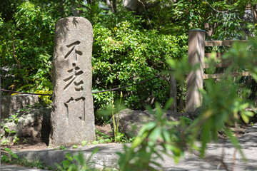 神奈川県大和市・常泉寺の彼岸花と緑に囲まれた境内の風景