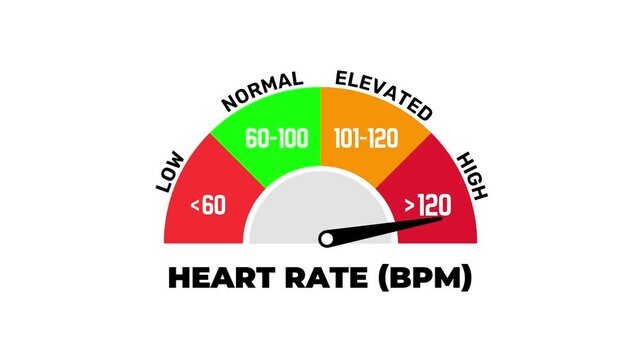 Animated Heart Rate BPM Level Gauge Indicator Low Normal Elevated High Scale