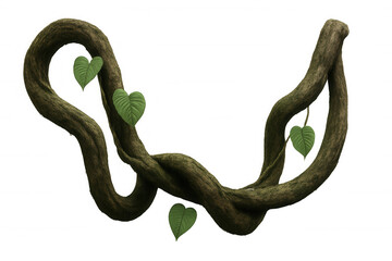 Fototapeta premium Twisted jungle vine with green leaves, tropical liana plant on transparent background, nature