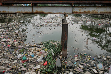 Garbage floating in the river on the outskirts of the city. 