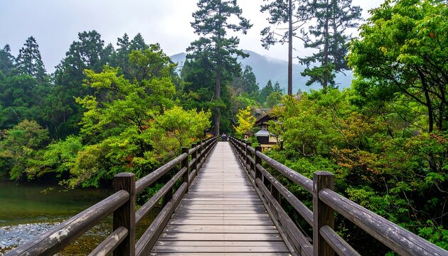 Wooden bridge through lush autumn forest