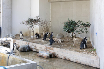 茨城県・霞ヶ浦ふれあいランドの現代的な建築と動物たち