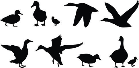 Set of duck and goose silhouettes in various poses, including flying, walking, and standing birds with adult and duckling forms