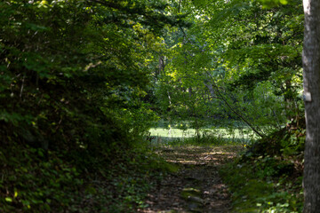 일본 하코다테 오누마 공원 호수