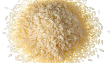 Pile of uncooked long grain rice, some grains with yellowish hue, scattered and illuminated on white background