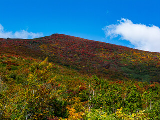 紅葉の栗駒山