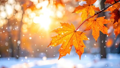 Close Up Of Bright Orange Maple Leaves Covered In Frost And Snow During A Winter Sunrise With Soft Sunlight Filtering Through Trees And Falling Snowflakes