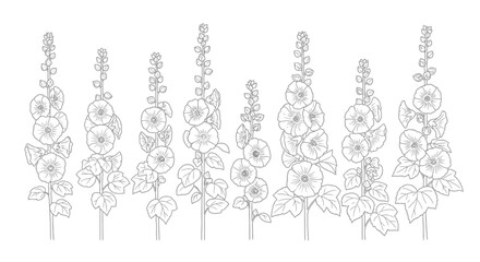 Delicate line drawing of foxglove flowers in bloom © Runa