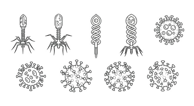 Collection of bacteriophage viruses and coronavirus particles scientific illustration