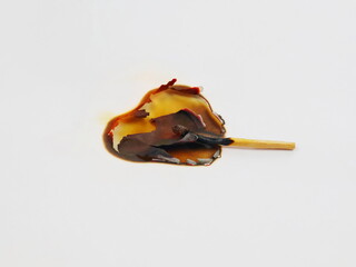 Burnt Matchstick on White Background