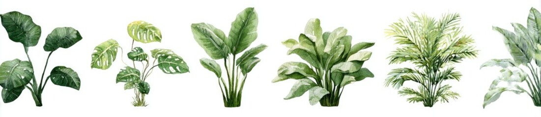 Watercolor illustration of various houseplants